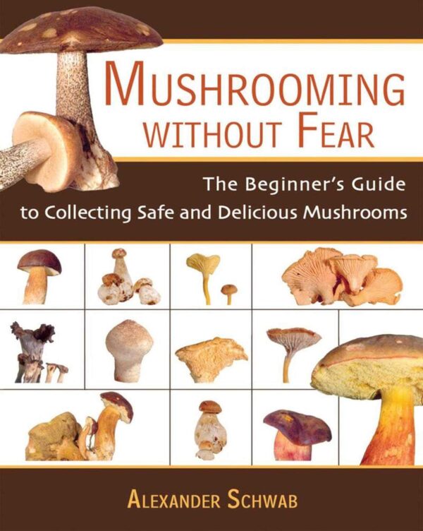 Mushrooming Without Fear: Beginner'S Guide To Safe Mushroom Hunting