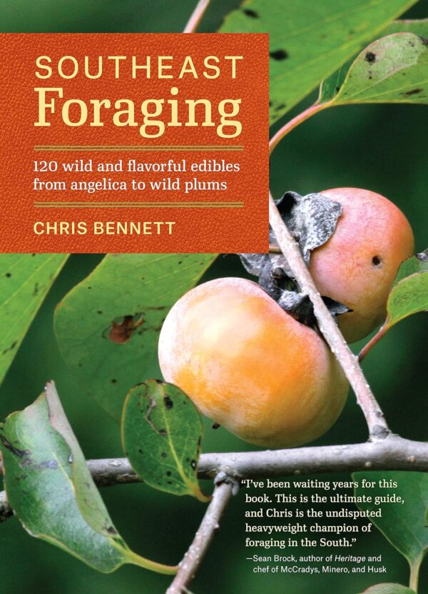 Southeast Foraging: Discover 120 Wild Edibles From Angelica To Wild Plums