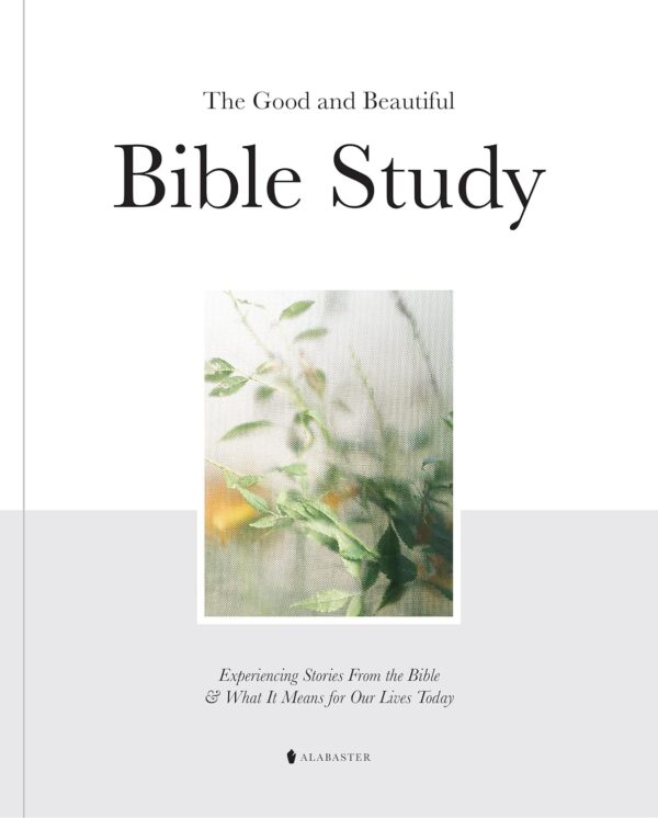 The Good And Beautiful Bible Study: Discover Bible Stories And Their Relevance Today