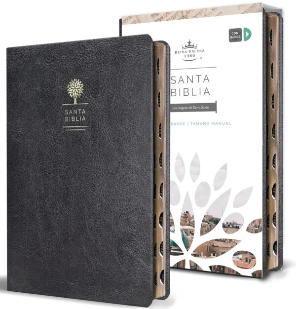 Spanish Bible Rvr 1960: Large Print, Thumb Index, Black Leather