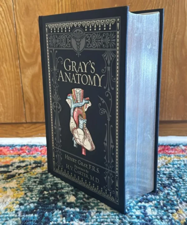 B&Amp;N Grays Anatomy Leather Classic - O/P