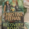 Recovery Road