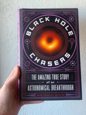 Black Hole Chasers