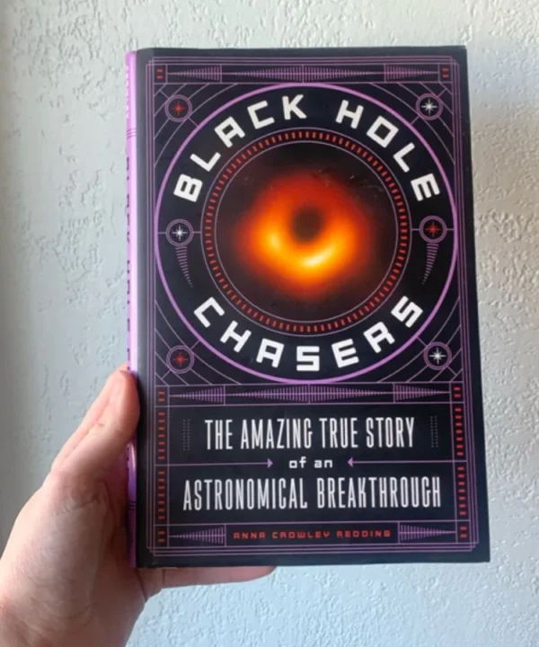 Black Hole Chasers
