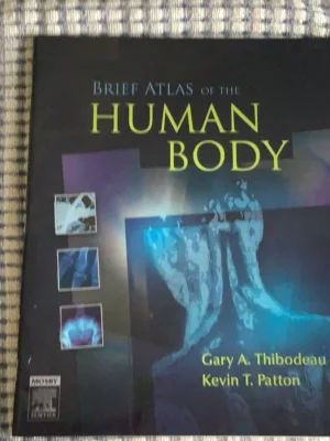 Brief Atlas of the Human Body
