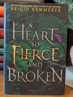 A Heart So Fierce and Broken