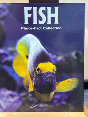Fish