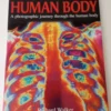 A Guide to the Human Body