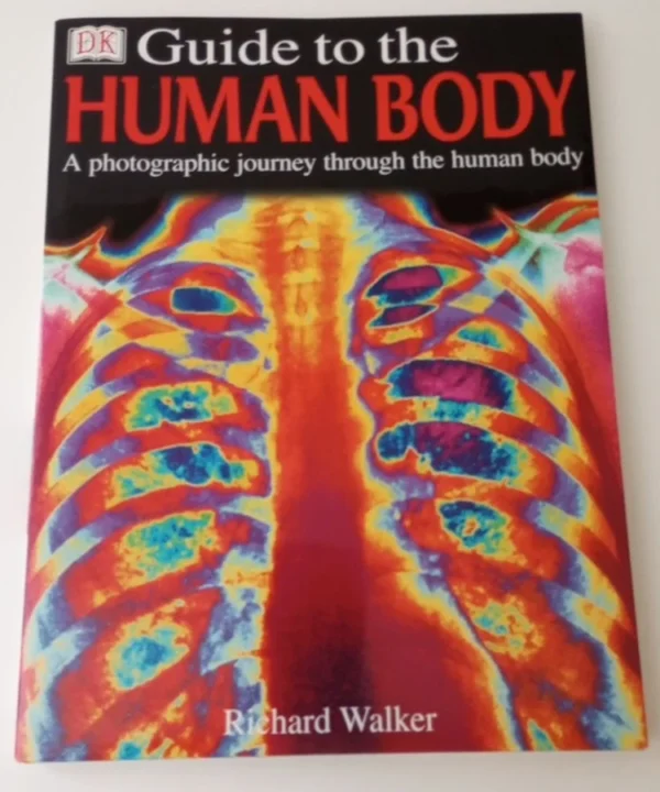 A Guide To The Human Body