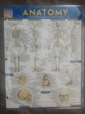 Anatomy - Reference Guide (8. 5 X 11)
