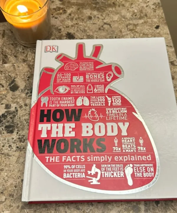 How The Body Works