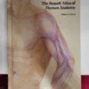 The Bassett Atlas of Human Anatomy