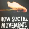 How social movements (sometimes) matter