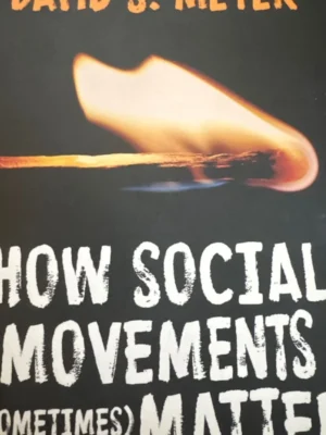 How social movements (sometimes) matter