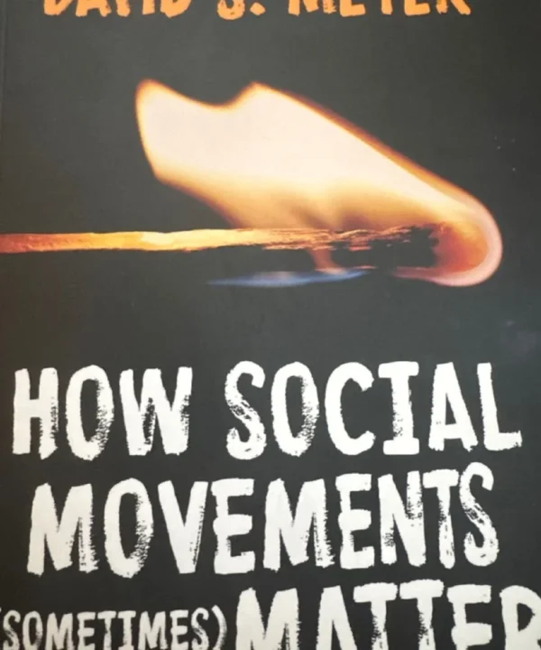 How Social Movements (Sometimes) Matter