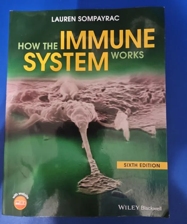 How The Immune System Works