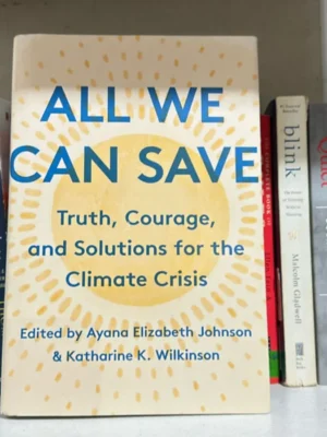 All We Can Save