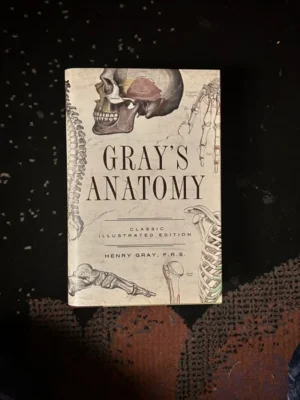 Greys anatomy