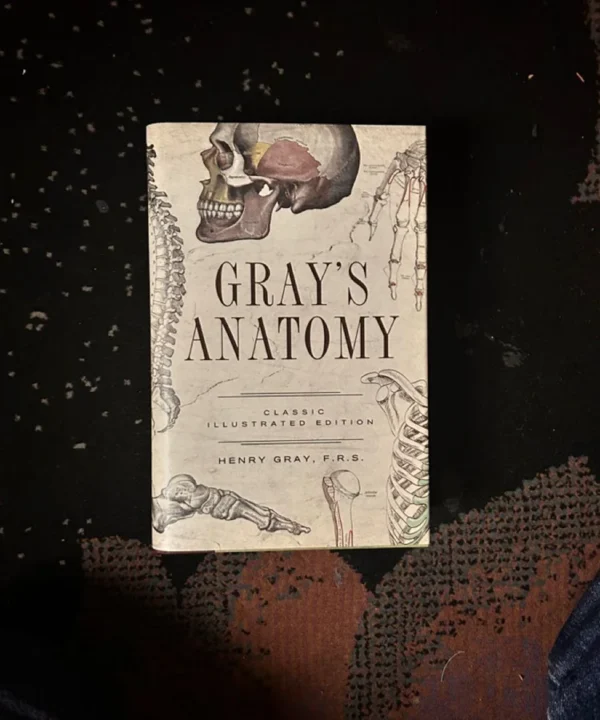 Greys Anatomy