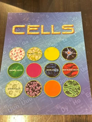 Cells