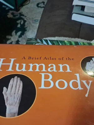 Human Anatomy and Physiology