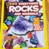 Everything Rocks and Minerals