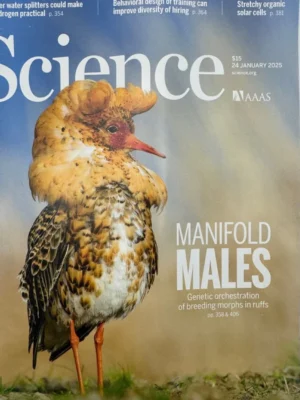 AAAS Magazine - Manifold Males