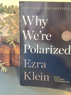 Why We're Polarized