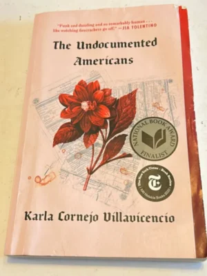 The Undocumented Americans