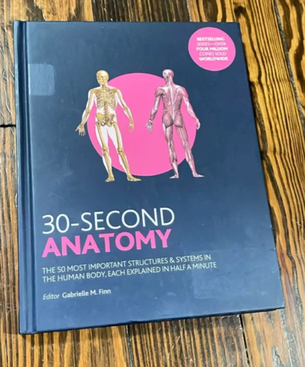 30-Second Anatomy