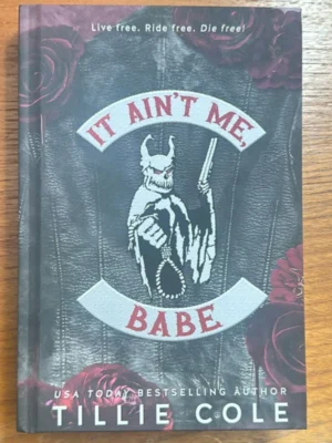 It Ain't Me, Babe