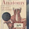 Anatomy