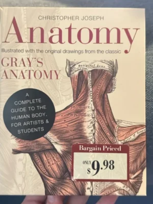 Anatomy