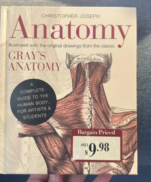 Anatomy