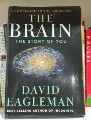 The Brain