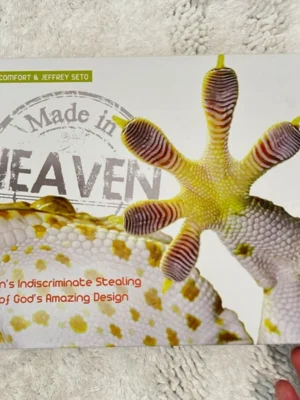Made in Heaven