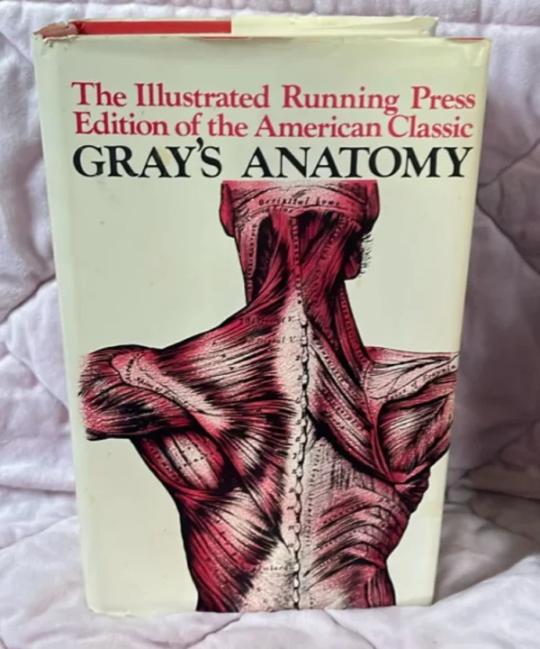 Gray'S Anatomy