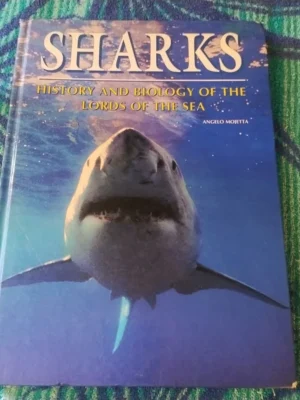 Sharks