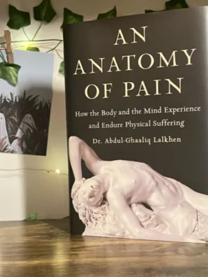 An Anatomy of Pain