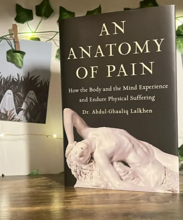 An Anatomy Of Pain