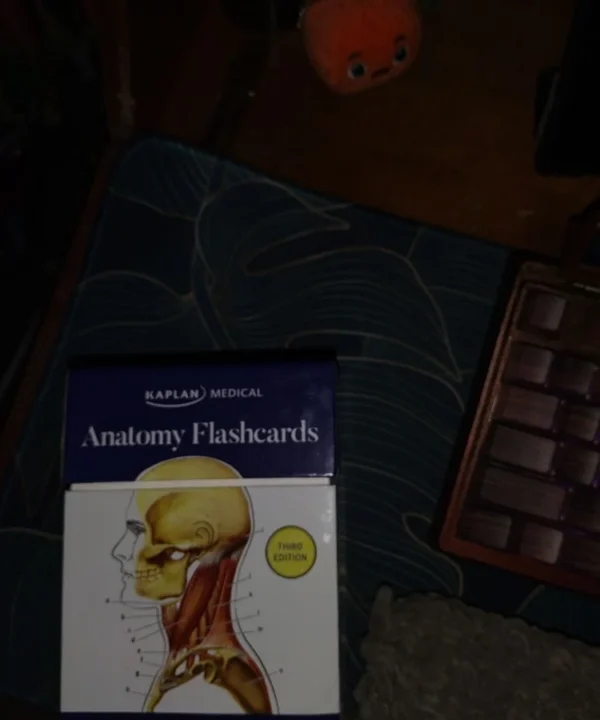 Anatomy Flashcards