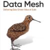 Data Mesh: Delivering Data-Driven Value at Scale 1st Edition