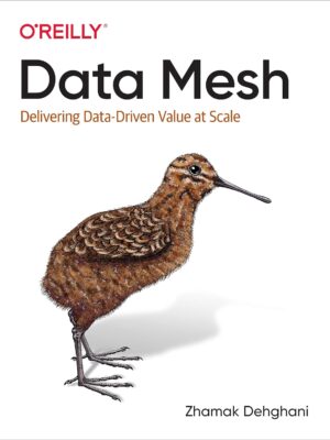 Data Mesh: Delivering Data-Driven Value at Scale 1st Edition