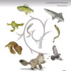 The Dissection of Vertebrates 3rd Edition