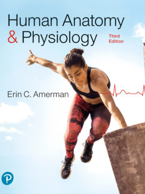 Human Anatomy & Physiology 3rd Edition