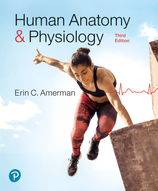Human Anatomy &Amp; Physiology 3Rd Edition