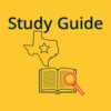 Texas Politics 1St Edition
