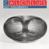 Calculus: Early Transcendentals Fourth Edition