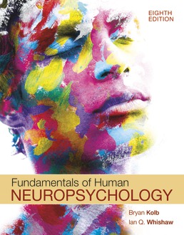 Fundamentals of Human Neuropsychology Eighth Edition