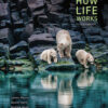 Biology: How Life Works Fourth Edition